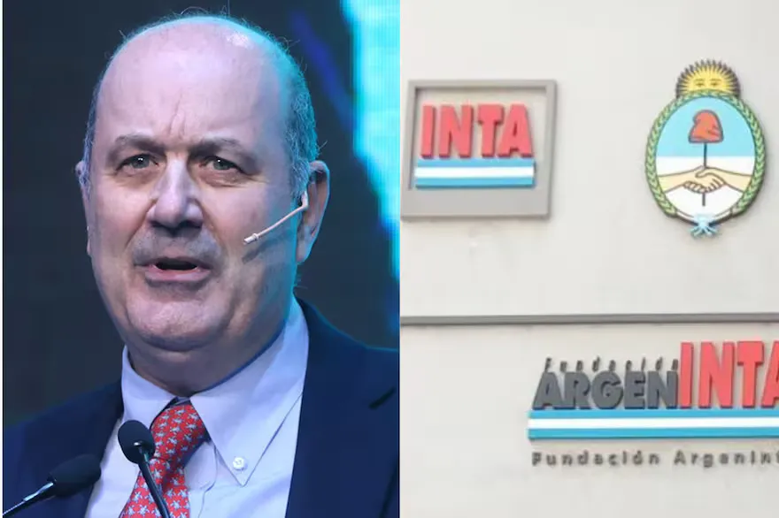 INTA 3