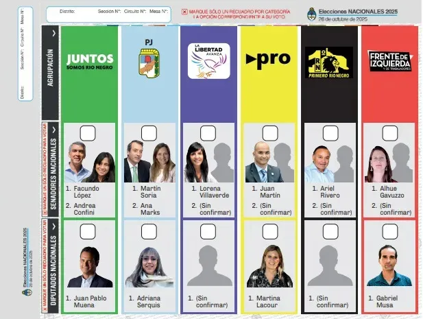 Boleta-Única-ilustrativa_